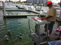 Cleaning Fish on Marco Island