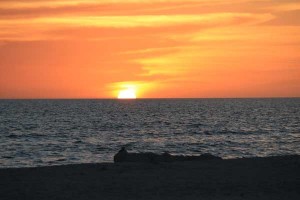 Marco Island Sunset